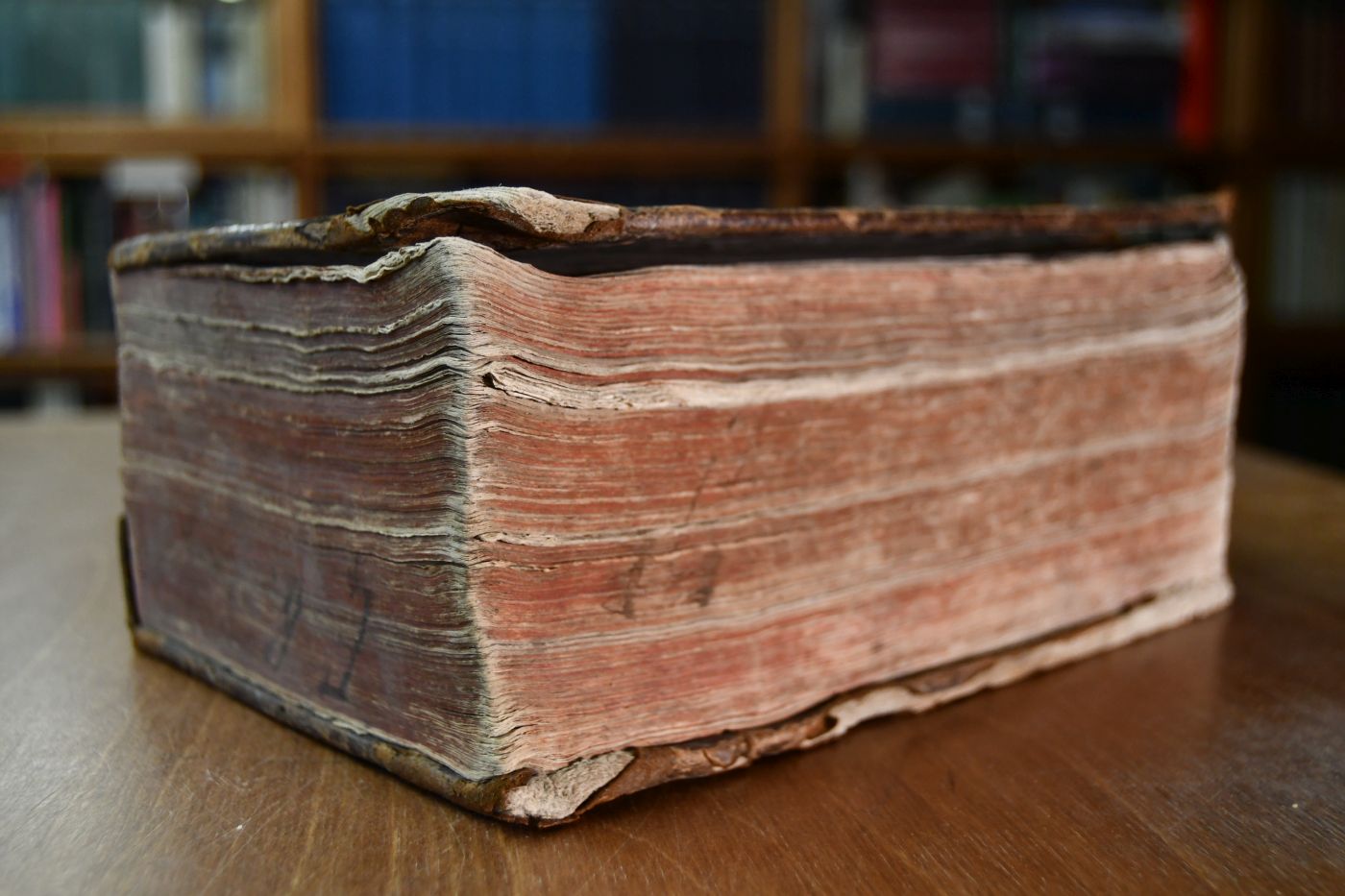 Die Bibel oder die ganze Heilige Schrift des Alten und Neuen Testaments, nach der deutschen Übersetzung Martin Luthers.