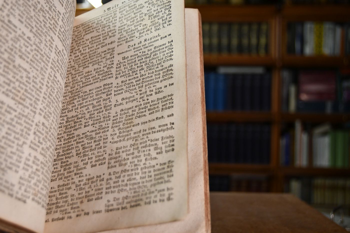Die Bibel oder die ganze Heilige Schrift des Alten und Neuen Testaments, nach der deutschen Übersetzung Martin Luthers.