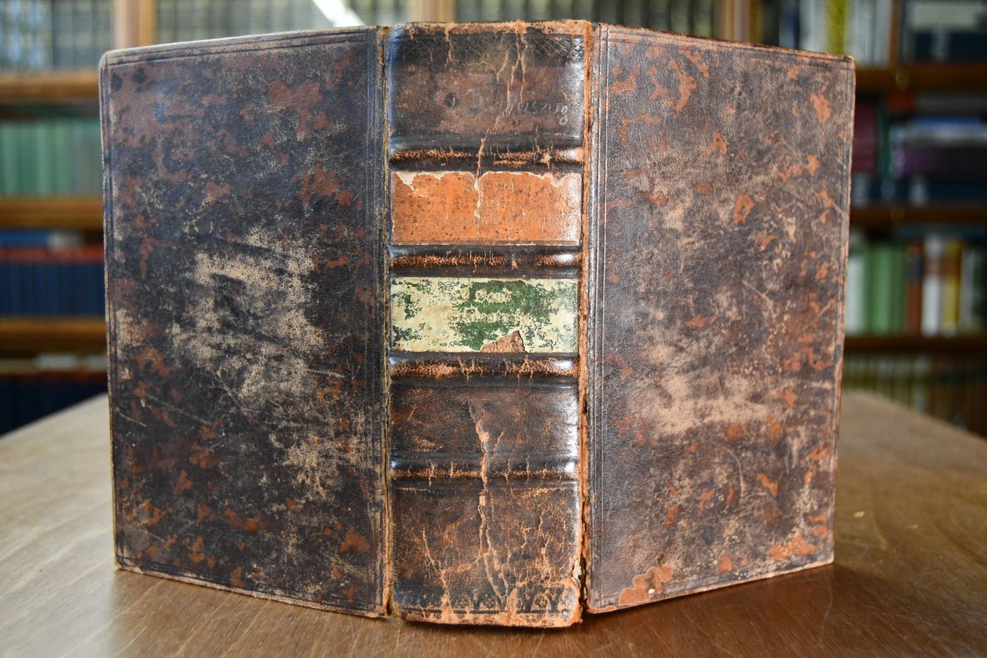 Auszug aus Johann Michael Hahn`s Schriften, enthaltend dessen Schrift-, Erfahrungs- und Erleuchtungs-Erkenntniß. Band 2 (von 2). Erfahrungs-Erkenntniß + Erleuchtungs-Erkenntniß