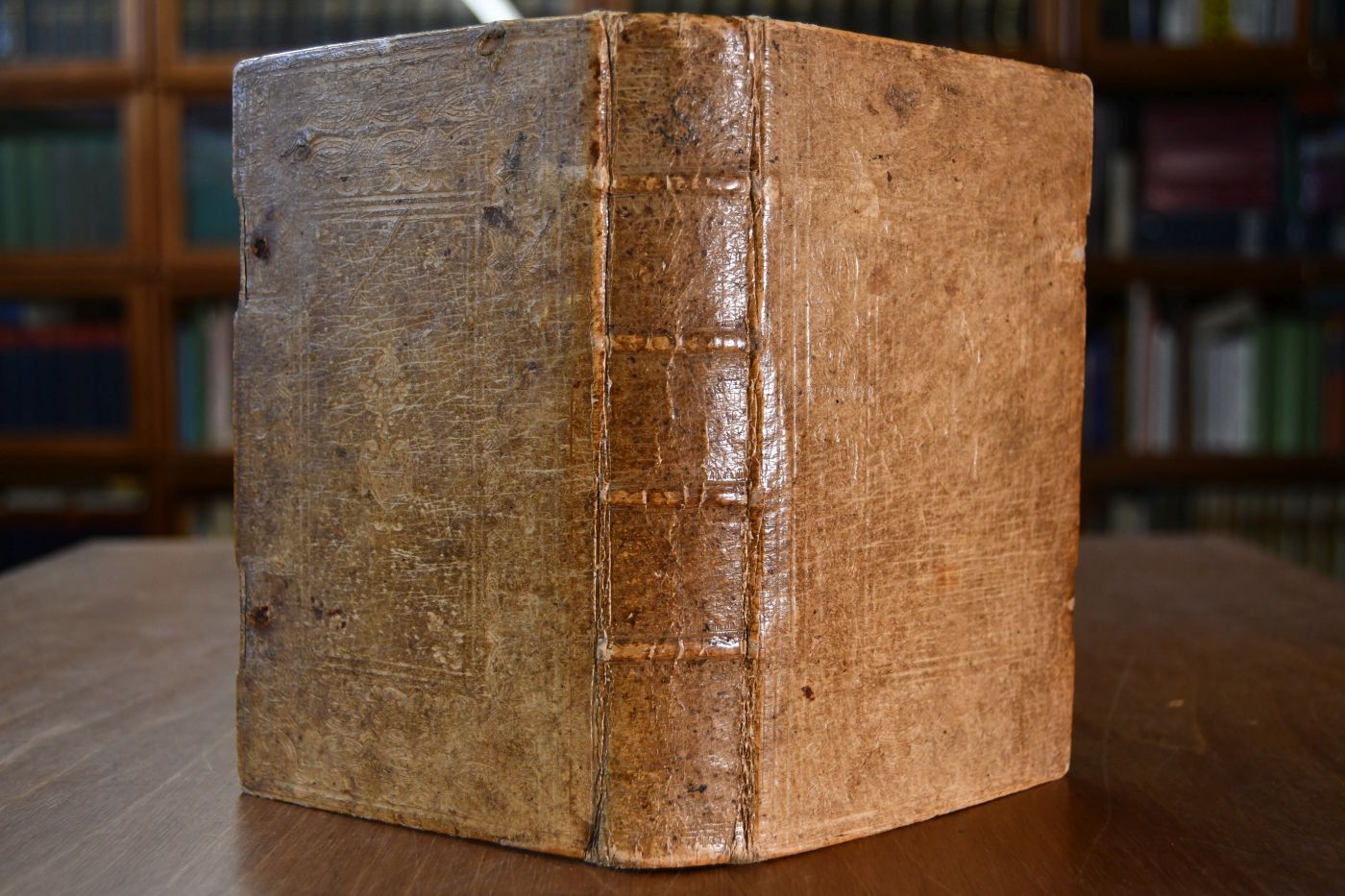 Betrachtungen auf alle Tage des Jahres über den Brief Pauli an die Römer, den ersten Brief Petri, den ersten Brief Johannis und einzelne biblische Texte.