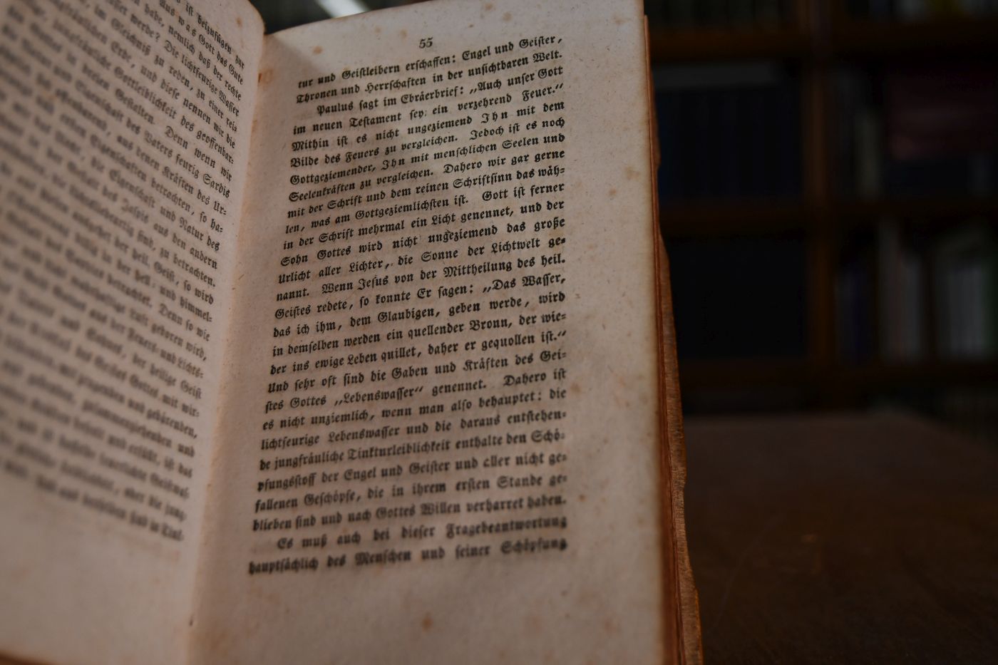 Betrachtungen auf alle Tage des Jahres über den Brief Pauli an die Römer, den ersten Brief Petri, den ersten Brief Johannis und einzelne biblische Texte.