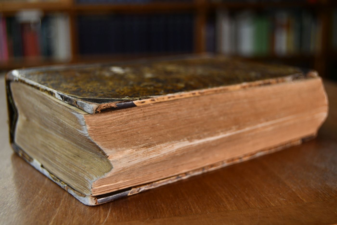 Betrachtungen und Lieder über die Psalmen. Nebst einem Brief über den 119. Psalmen als Einleitung.