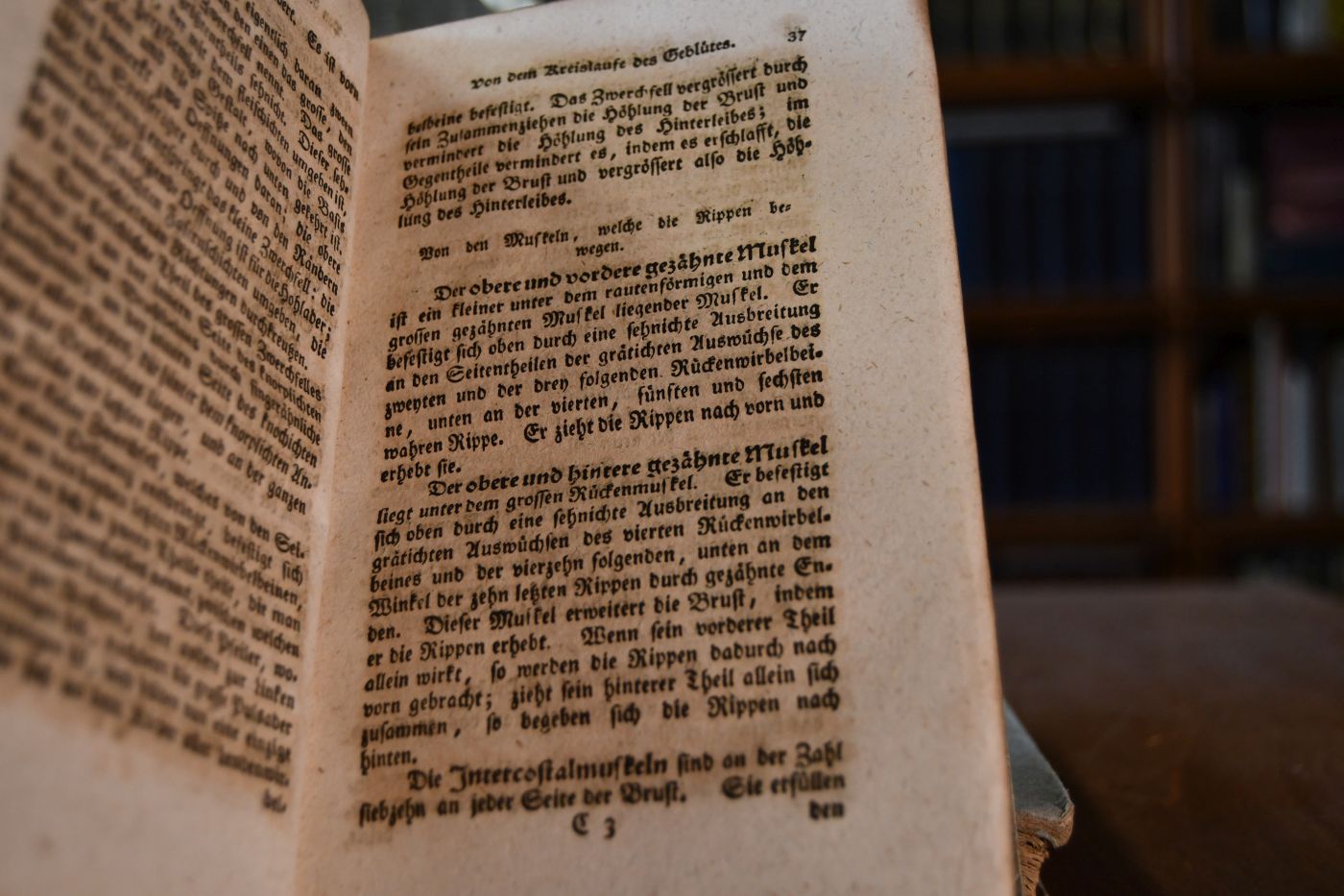 Herrn Vitet`s Unterricht in der Vieharzneykunst. Erster Theil 1. + 2. Band Bildung und Nutzen der Theile bey dem Pferde und Rindviehe.