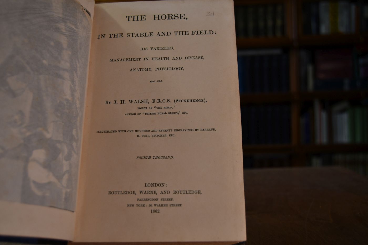 The Horse, in the Stable and the Field His Varieties, Management in Health and Disease, Anatomy, Physiology.