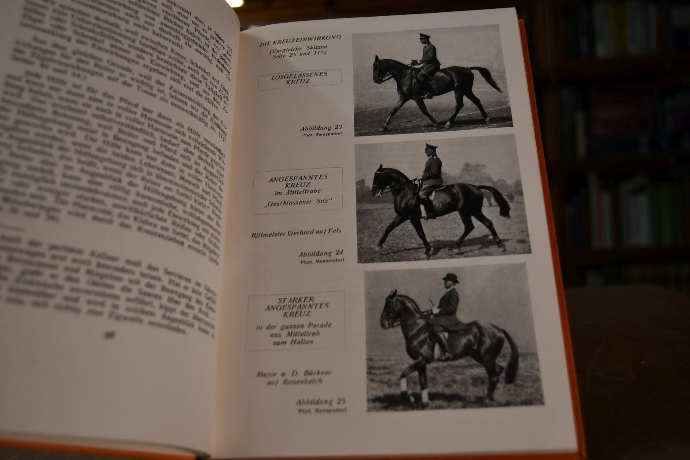 Reitlehre.