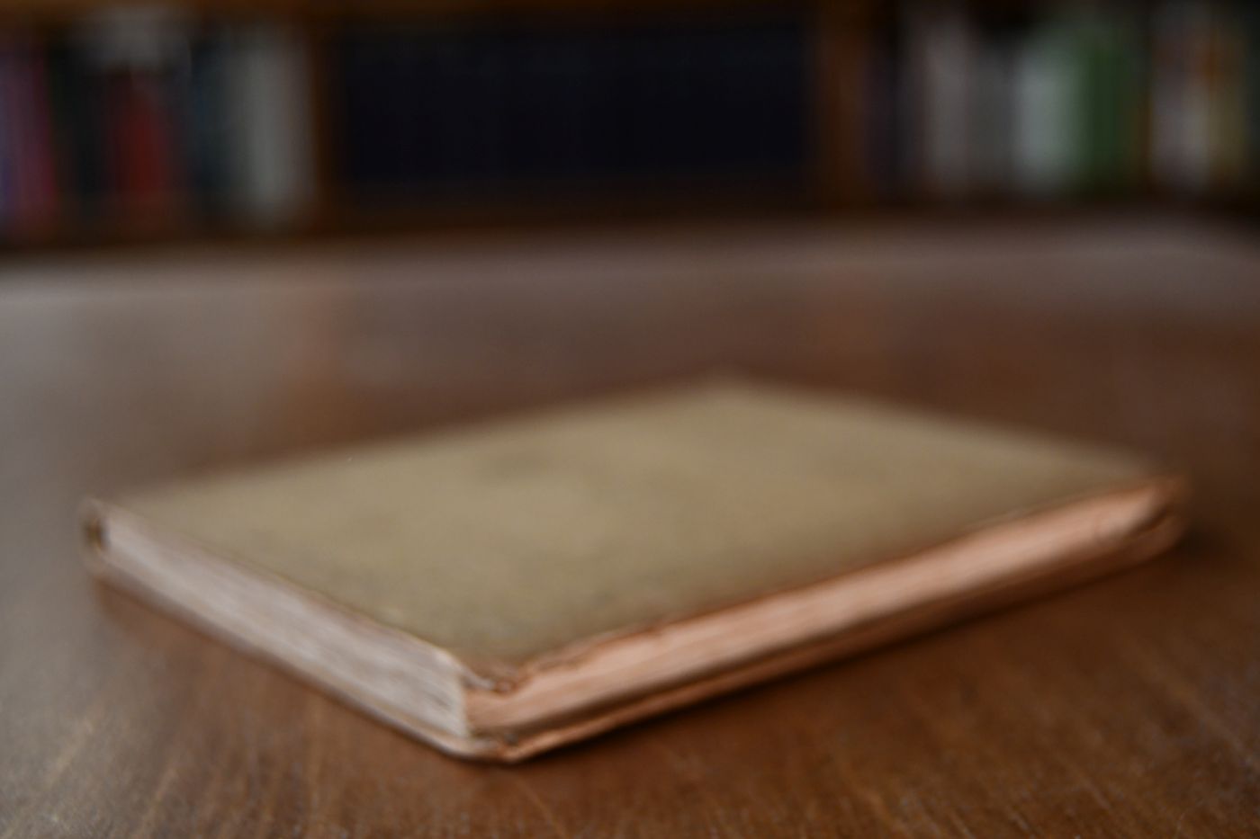 Taschenbuch zur Selbsterlernung der Reitkunst für Freunde derselben.