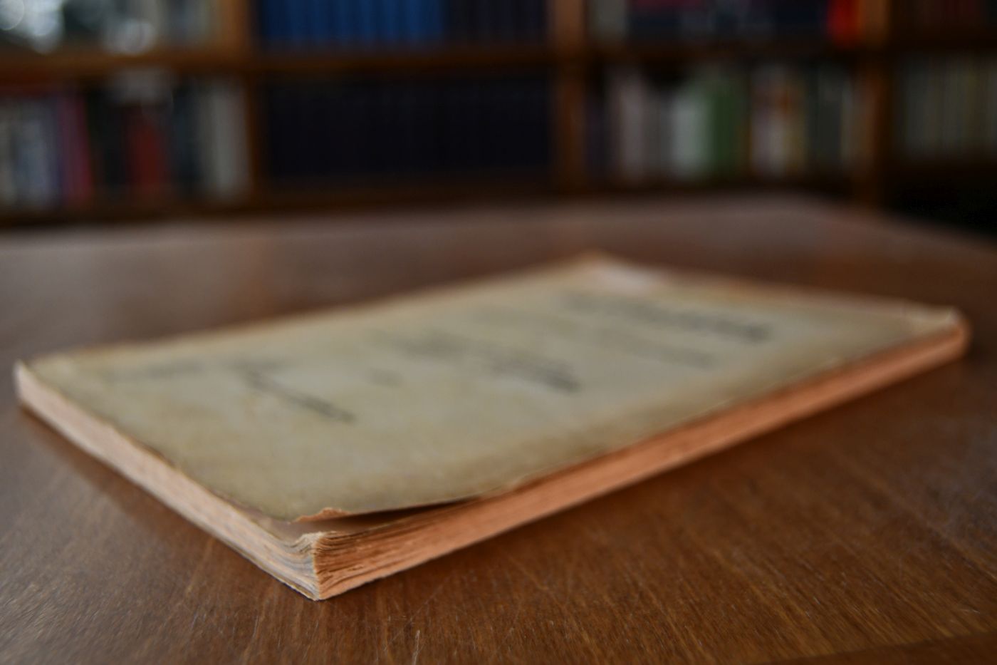 Sattelbuch für den berittenen Offizier der Fusstruppen.