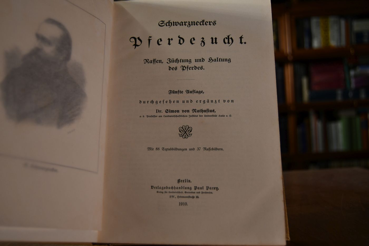 Schwarzneckers Pferdezucht. Rassen, Züchtung und Haltung des Pferdes.