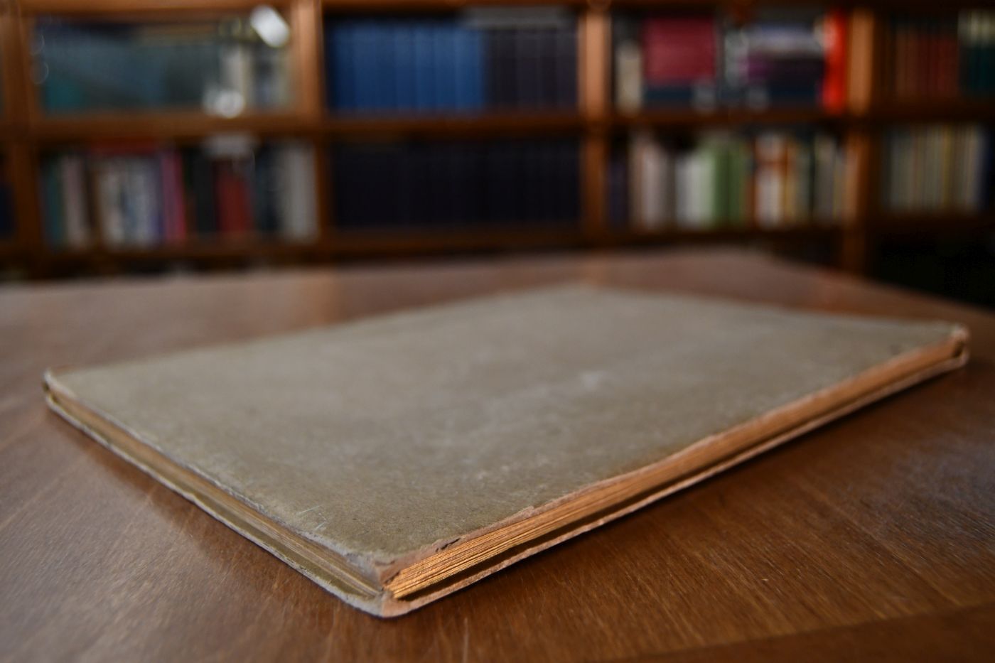 Das Schoene und Mangelhafte im Exterieur des Pferdes. Nach dem Englischen von F(riedrich) L(udwig) C(arl) Steinhoff und Ch(ristian) F. M. Peters bildlich dargestellt.