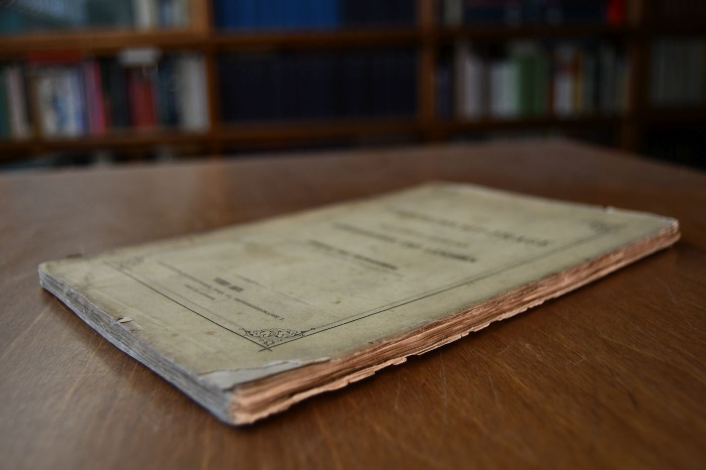 Die Pferdezucht-Frage in den im Reichsrathe vertretenen Königreichen und Ländern.