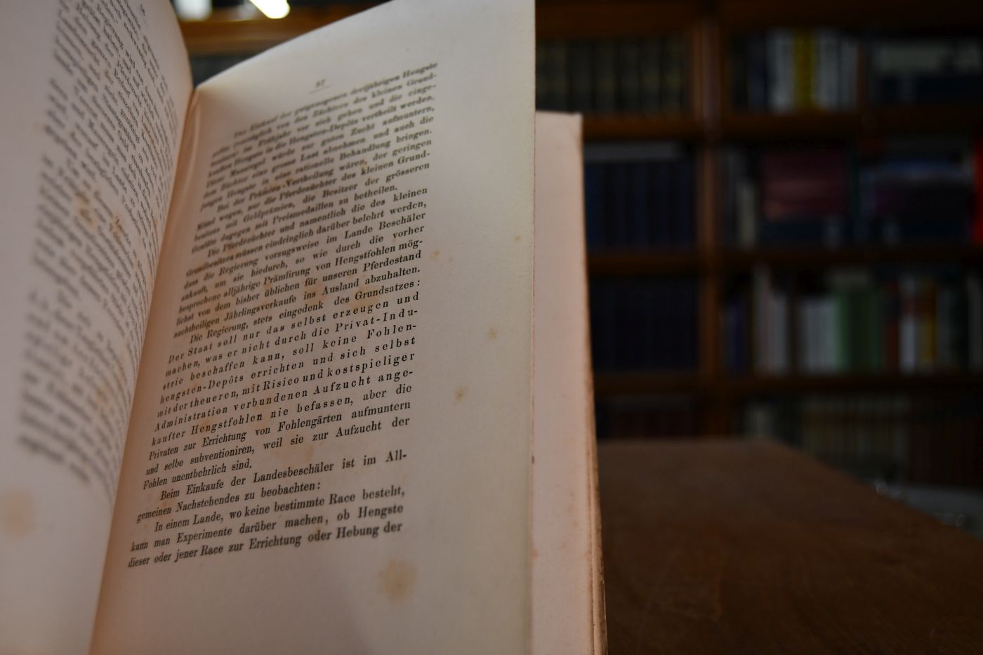 Die Pferdezucht-Frage in den im Reichsrathe vertretenen Königreichen und Ländern.