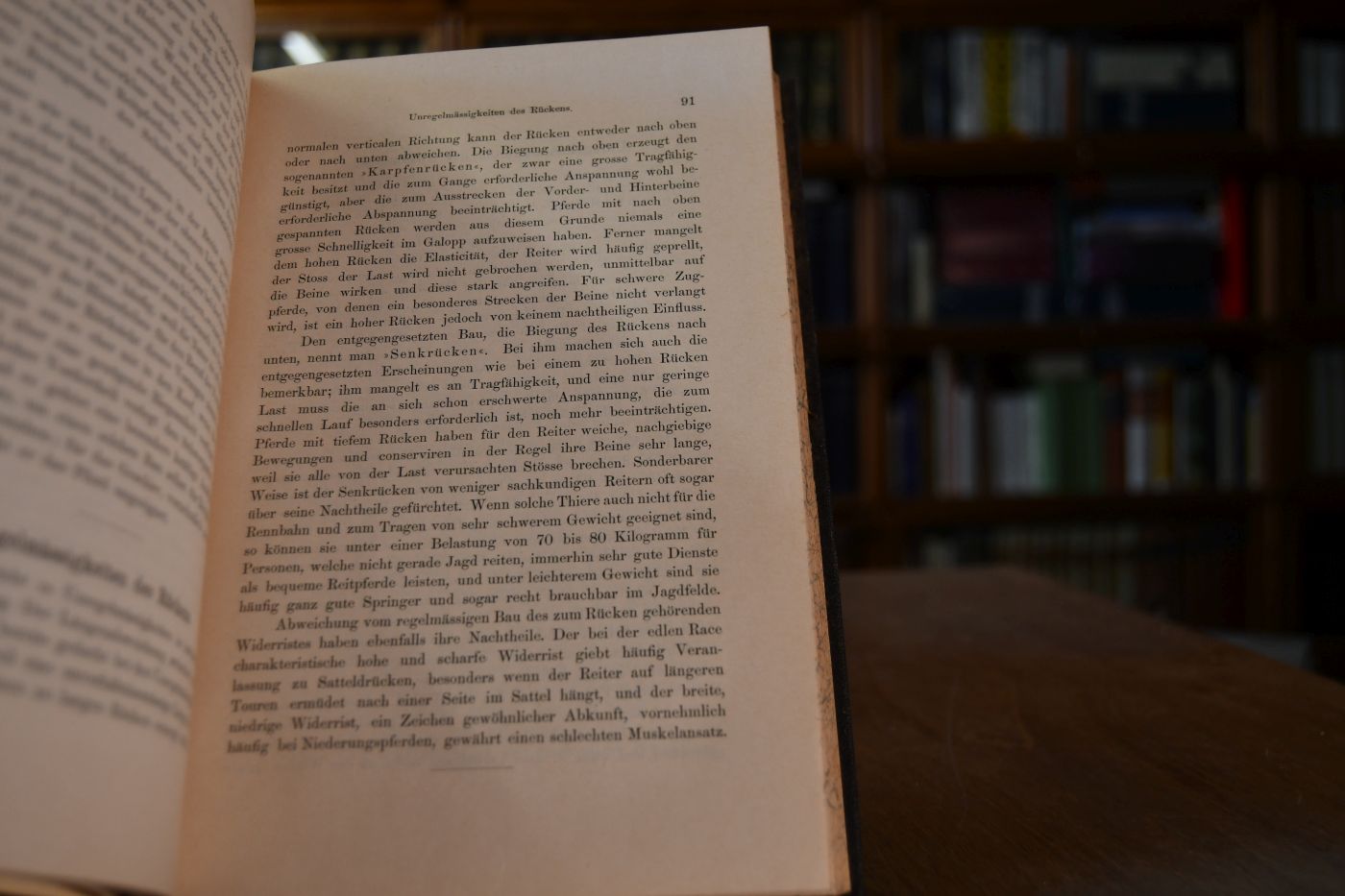 Handbuch für Halbblutzüchter.