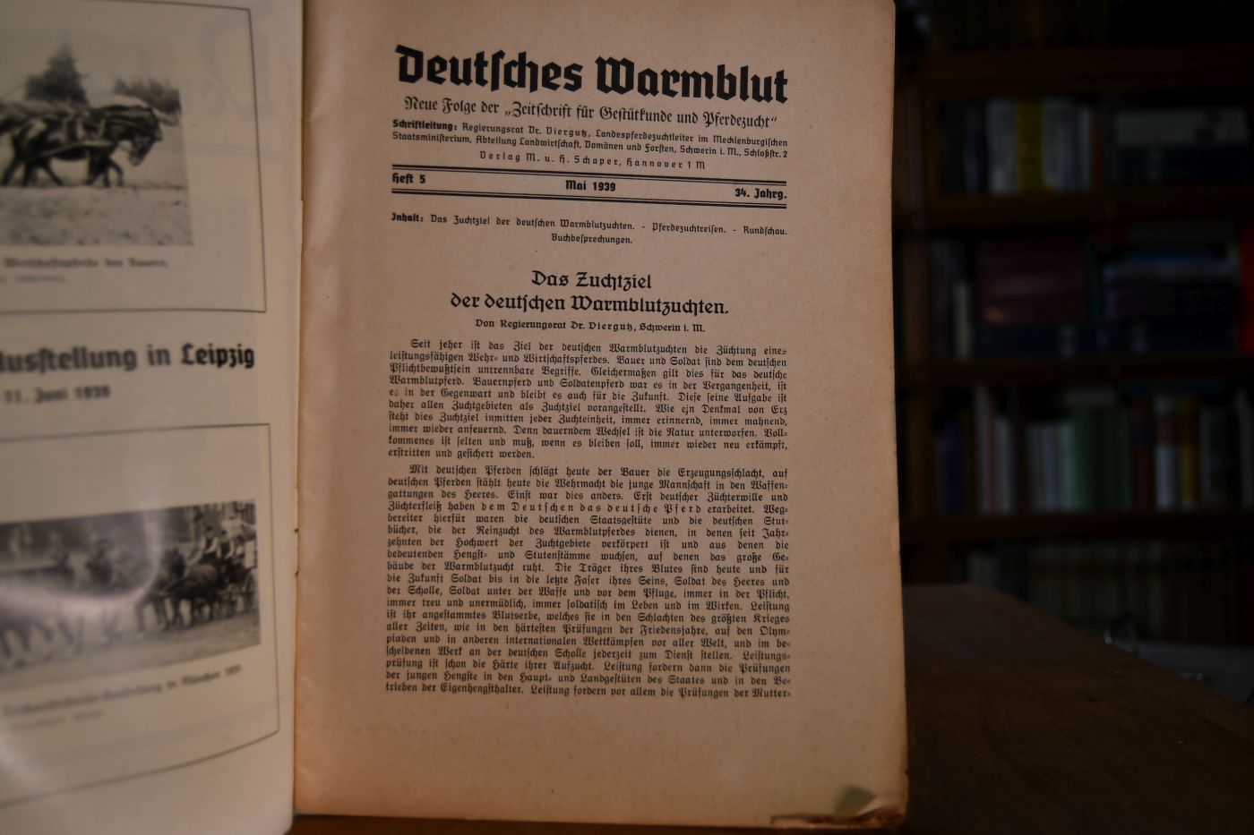 Deutsches Warmblut. Sonderheft zur 5. Reichsnährstands-Ausstellung Heft 5, Mai 1939. 34. Jahrgang.