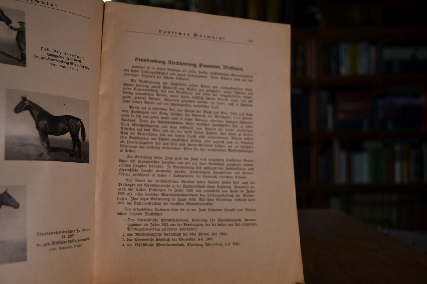 Deutsches Warmblut. Sonderheft zur 5. Reichsnährstands-Ausstellung Heft 5, Mai 1939. 34. Jahrgang.