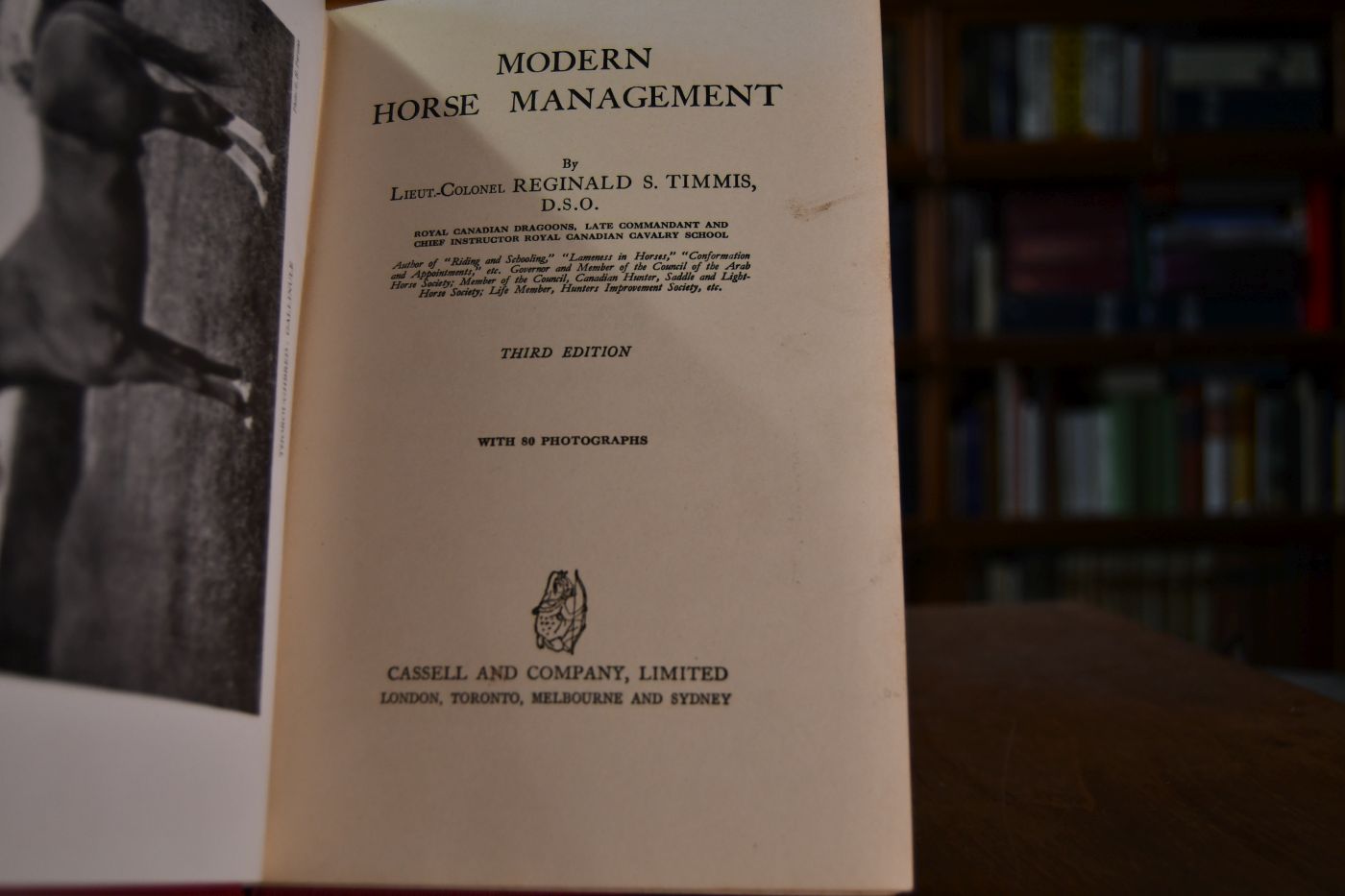 Modern Horse Management.