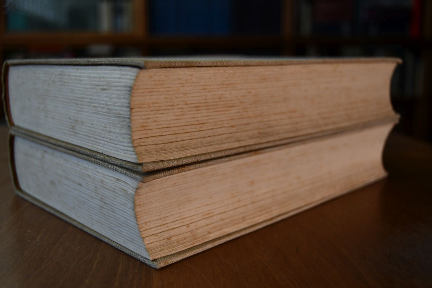 Reiter, Pferd und Fahrer. Ein Handbuch für den Bauern, Landwirt und Züchter, den Soldaten, Reiter und Fahrer und für alle Pferdefreunde. Bd. 1+2.