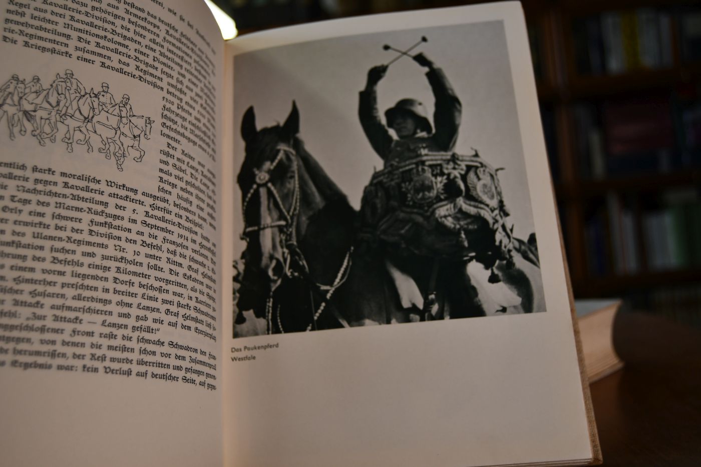 Reiter, Pferd und Fahrer. Ein Handbuch für den Bauern, Landwirt und Züchter, den Soldaten, Reiter und Fahrer und für alle Pferdefreunde. Bd. 1+2.