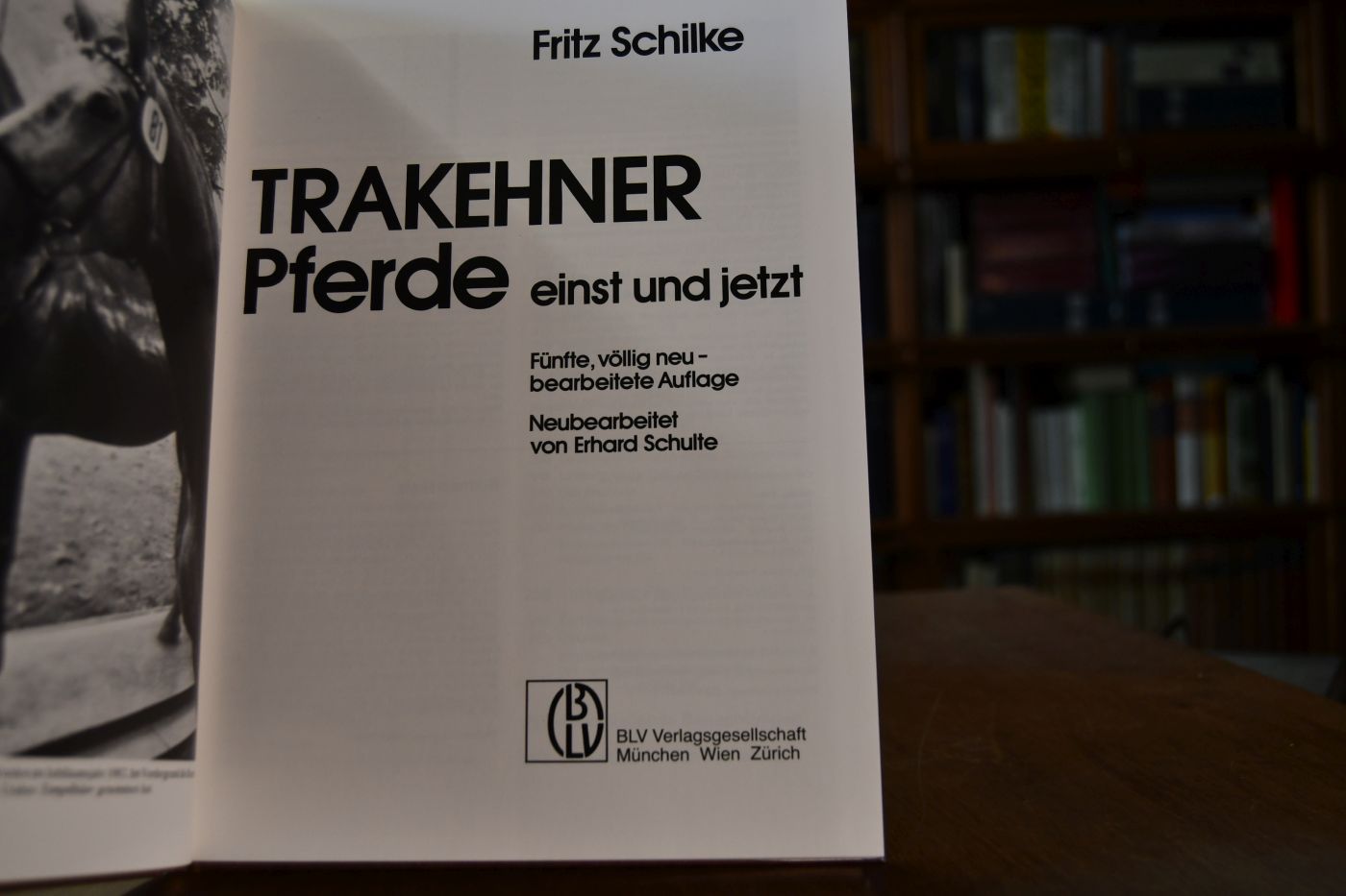 Trakehnerpferde einst und jetzt.