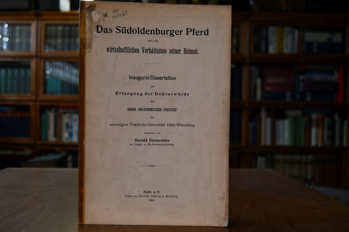 Das Südoldenburger Pferd und die wirtschaftlichen Verhältnisse seiner Heimat.