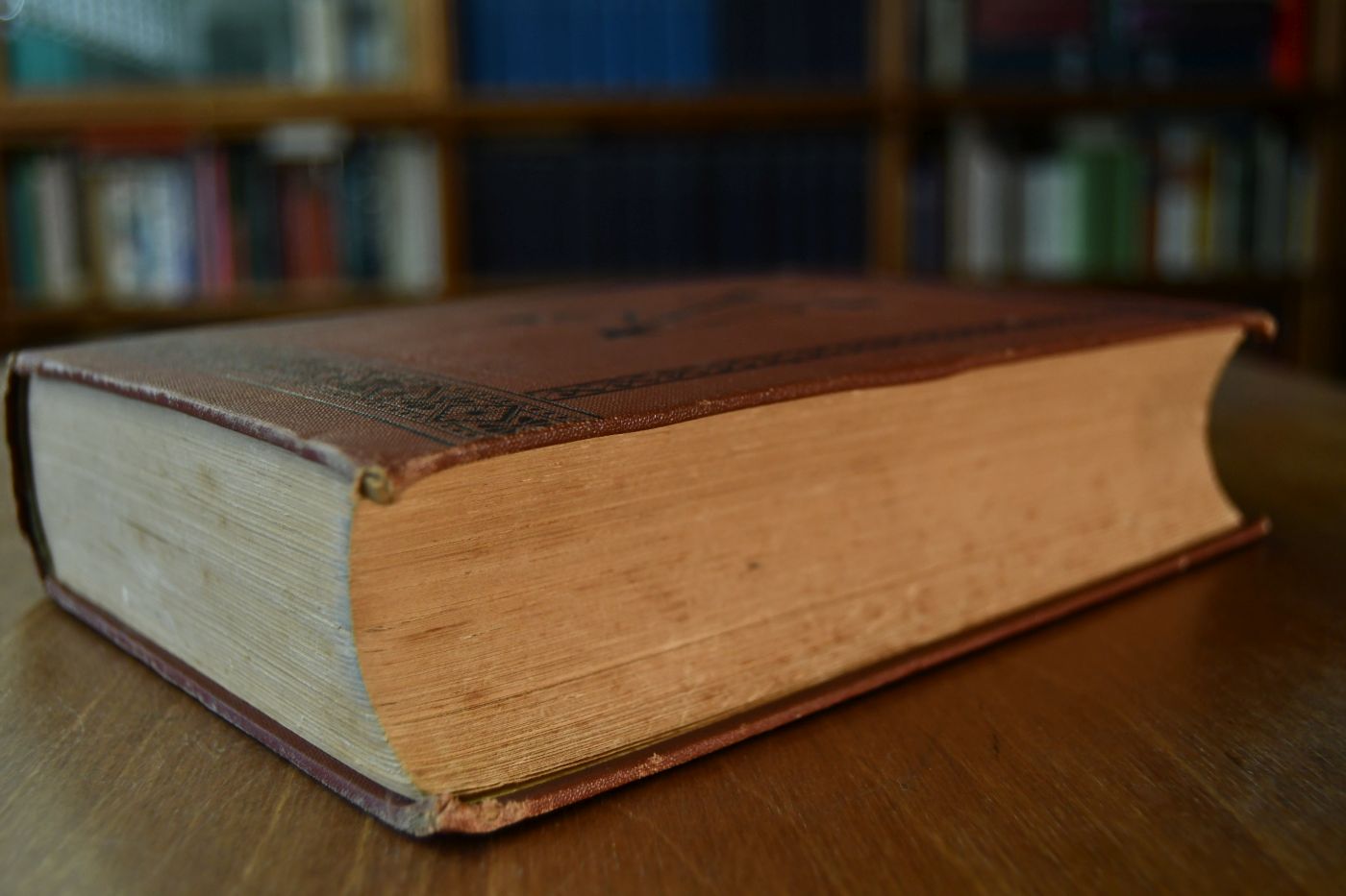 Halbblut-Gestütbuch des Königlich Preussischen Hauptgestüts Graditz. Erster Band.
