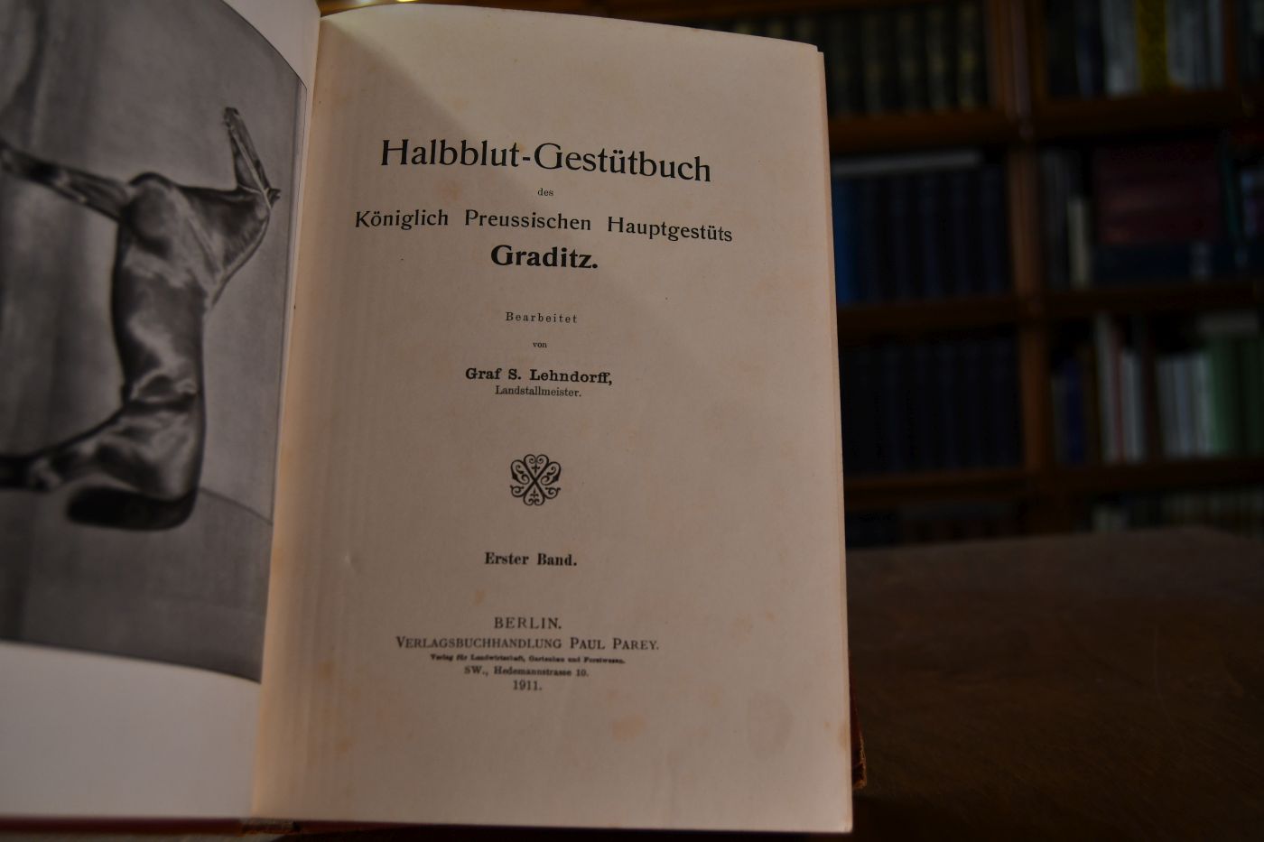 Halbblut-Gestütbuch des Königlich Preussischen Hauptgestüts Graditz. Erster Band.