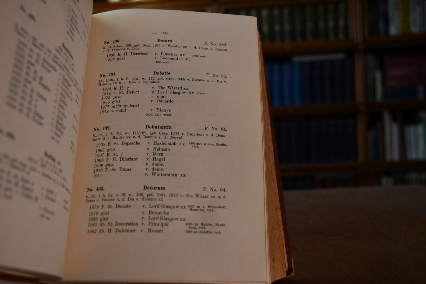 Halbblut-Gestütbuch des Königlich Preussischen Hauptgestüts Graditz. Erster Band.