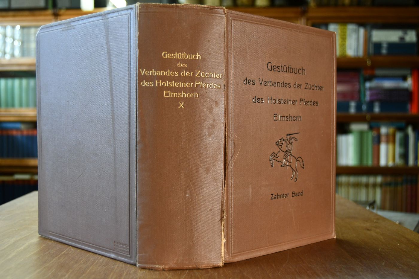 Gestütbuch des Verbandes der Züchter des Holsteiner Pferdes. Zehnter Band.