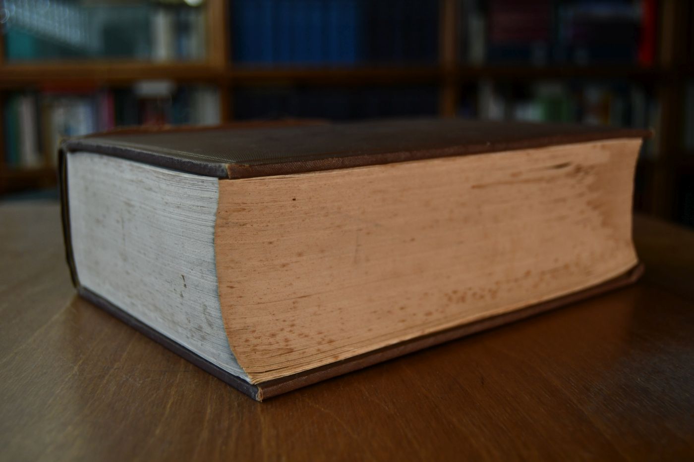 Gestütbuch des Verbandes der Züchter des Holsteiner Pferdes. Zehnter Band.