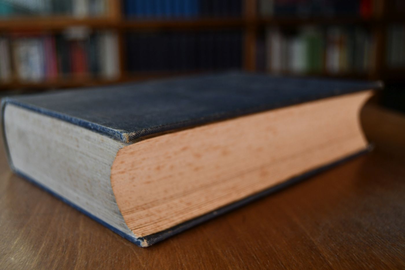 Gestütbuch für edle Pferde im Grossherzogtum Mecklenburg-Schwerin. Zweiter Band (apart).
