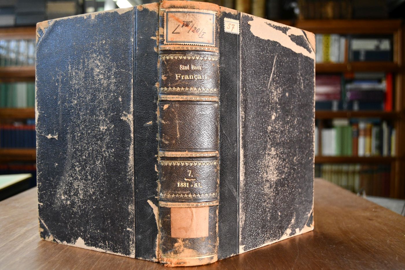 Stud Book Francais. Registre des Chevaux de Pur Sang importes ou nes en France. Tome VII, 1881, 1882, 1883.