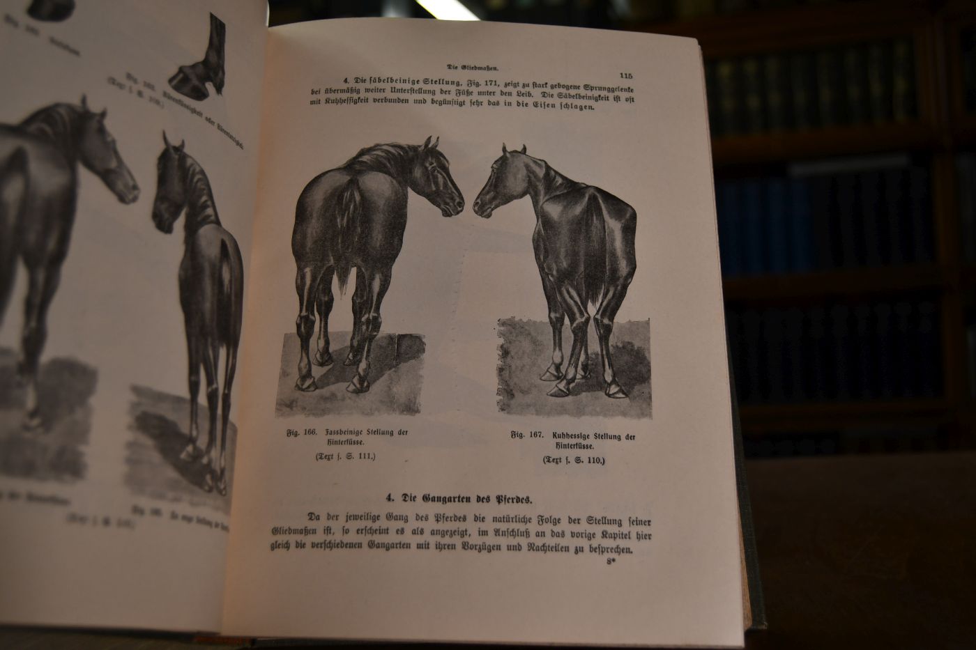 Das Pferd. Ein Handbuch über Bau, Pflege, Zucht, Hufbeschlag und Krankheiten des Pferdes.