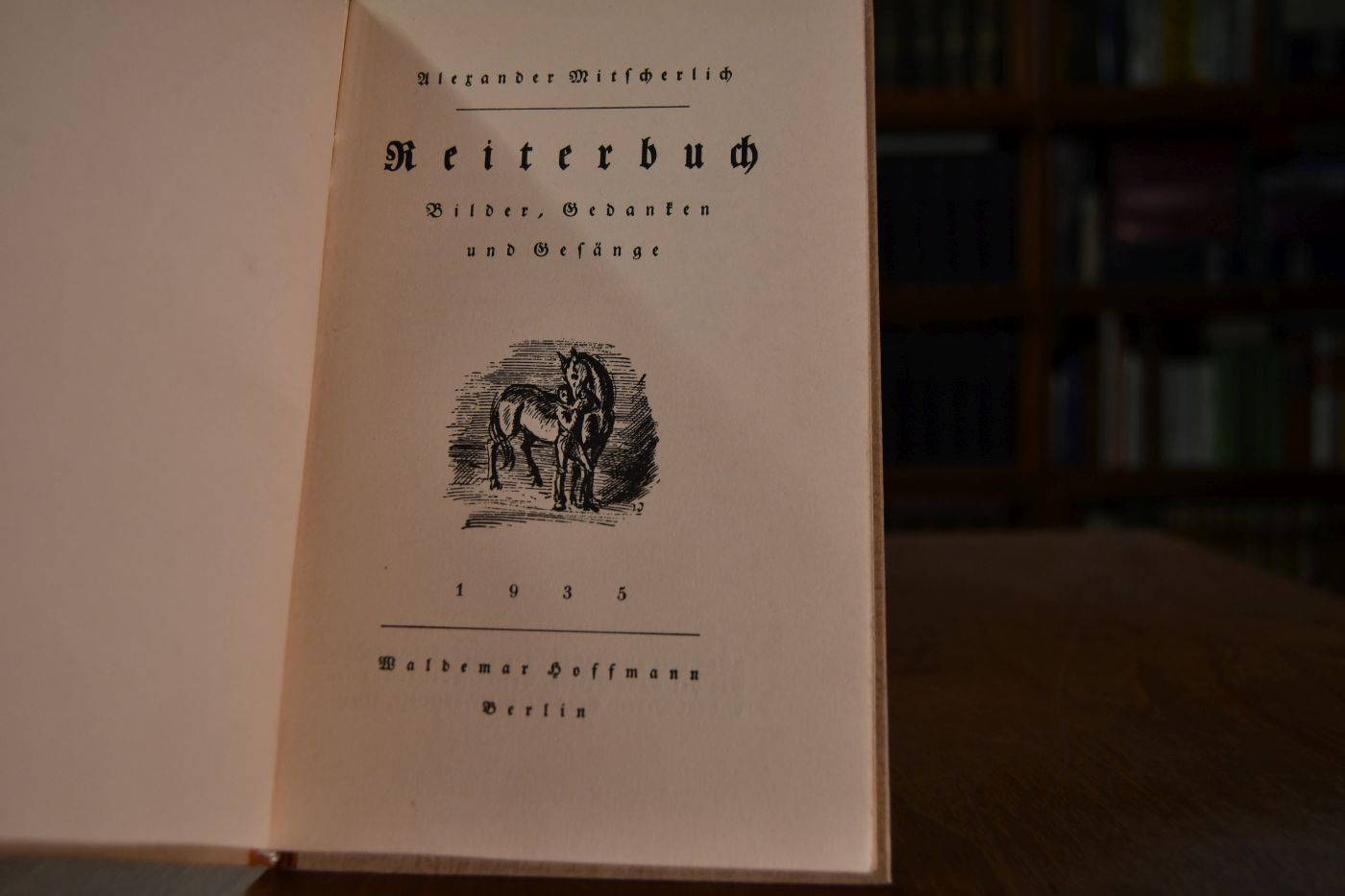 Reiterbuch. Bilder, Gedanken und Gesänge.