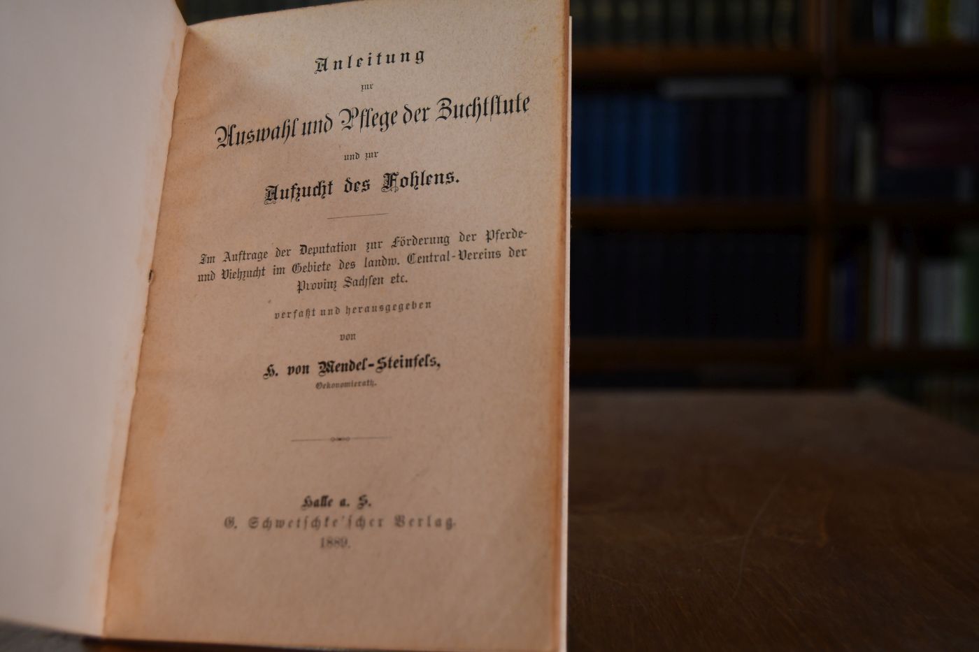 Anleitung zur Auswahl und Pflege der Zuchtstute und zur Aufzucht des Fohlens.