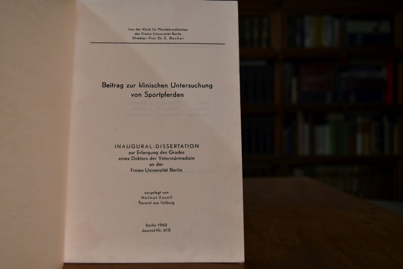 Beitrag zur klinischen Untersuchung von Sportpferden.