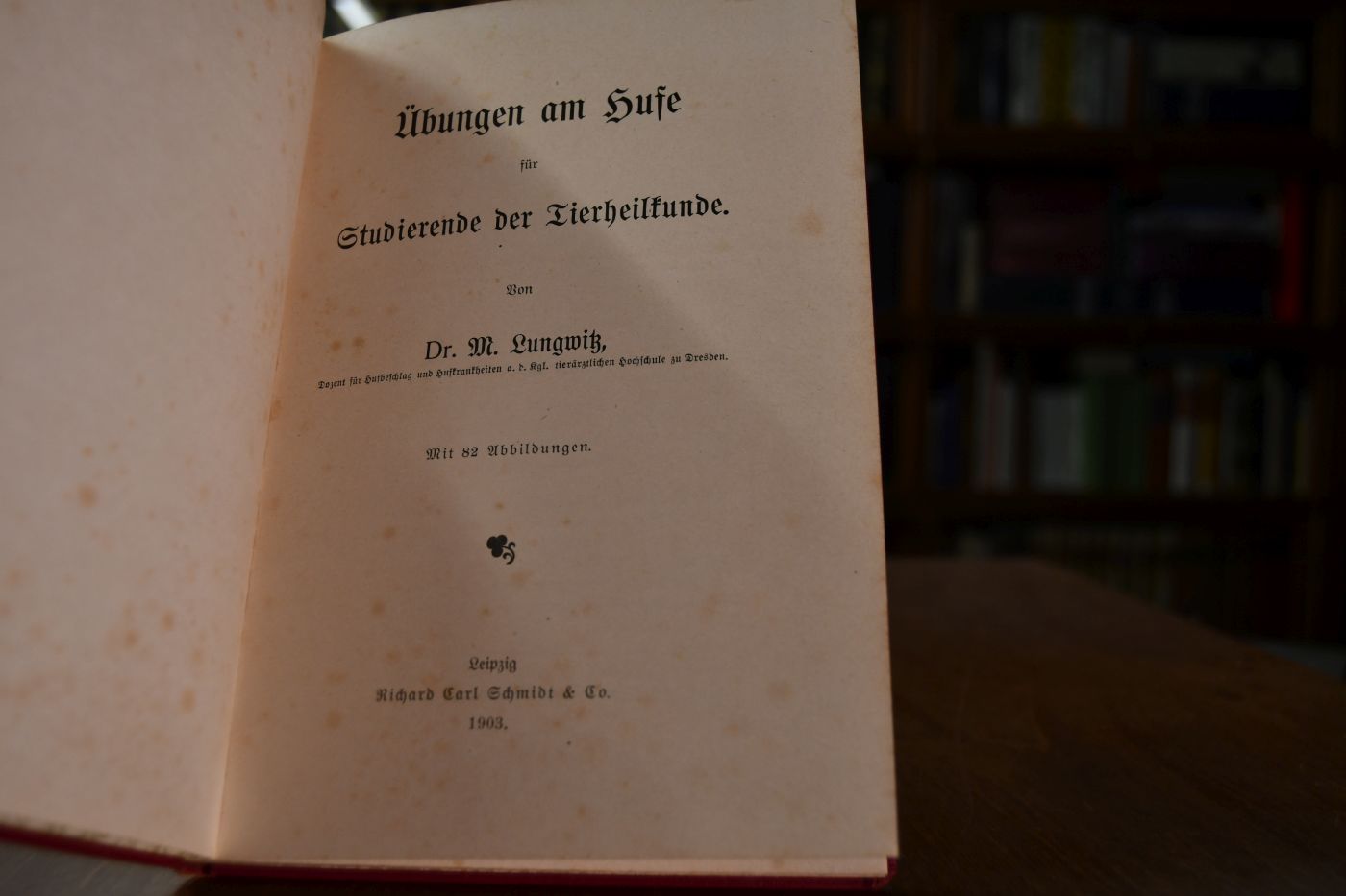 Übungen am Hufe für Studierende der Tierheilkunde.