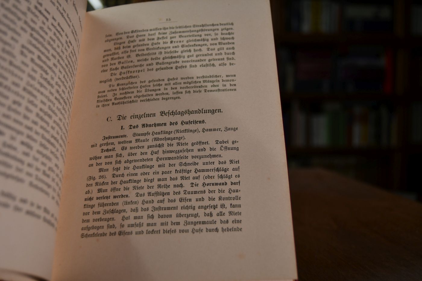 Übungen am Hufe für Studierende der Tierheilkunde.