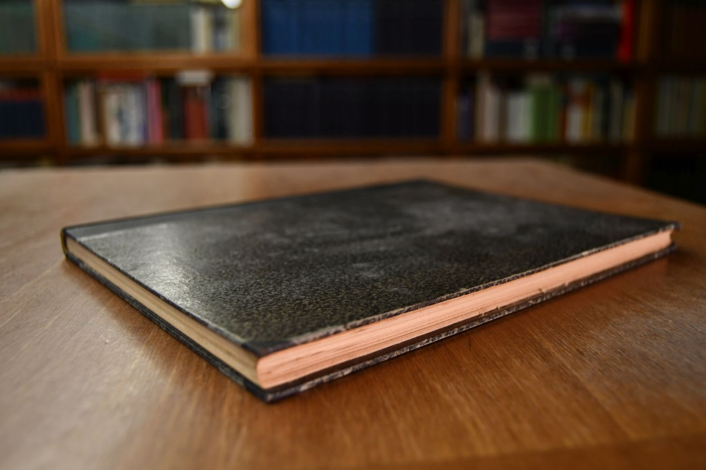 Zeitschrift für Gestütkunde und Pferdezucht. 23. Jahrgang (1928).