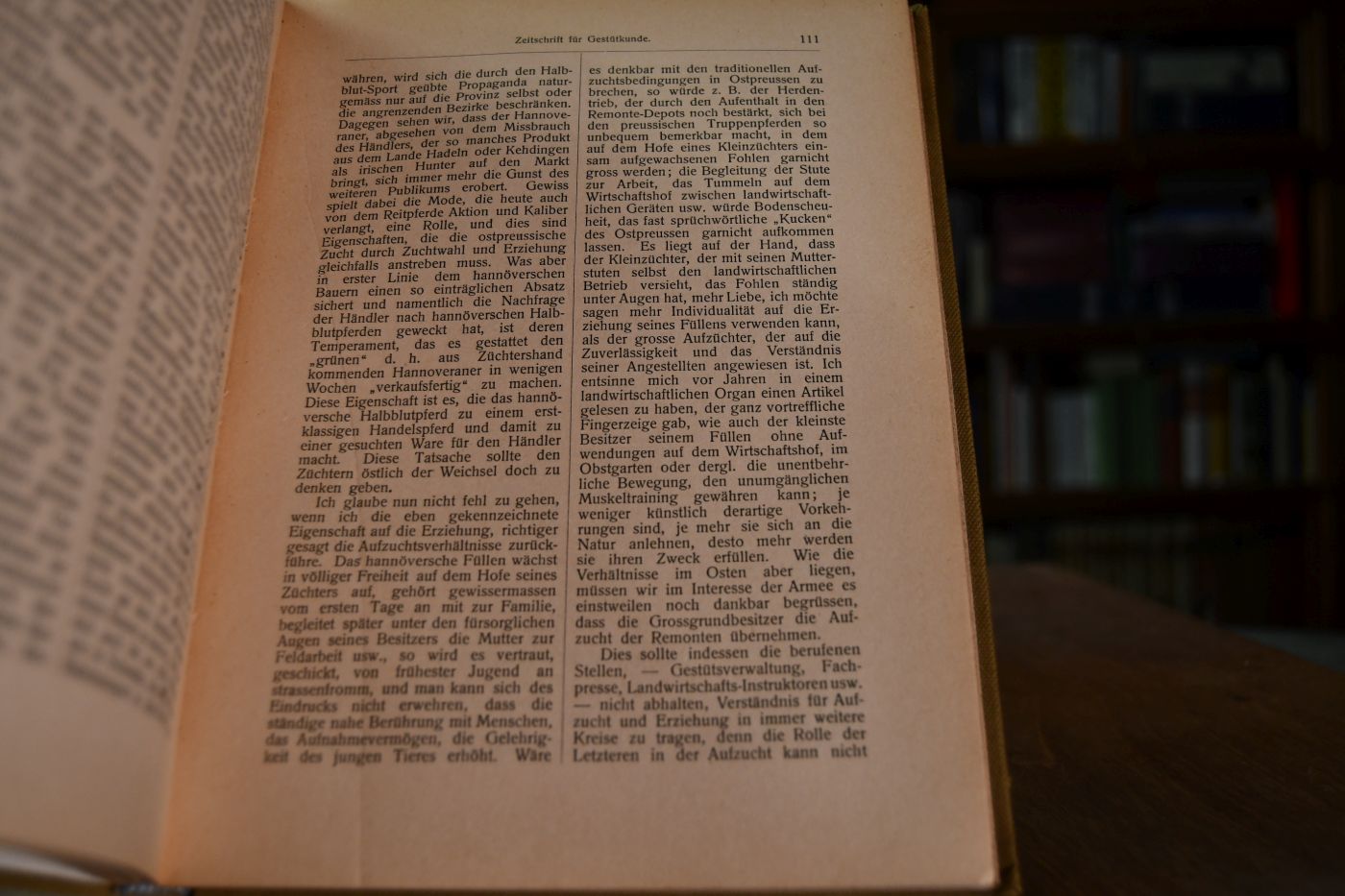 Zeitschrift für Gestütkunde und Pferdezucht. 2. Jahrgang (1907).