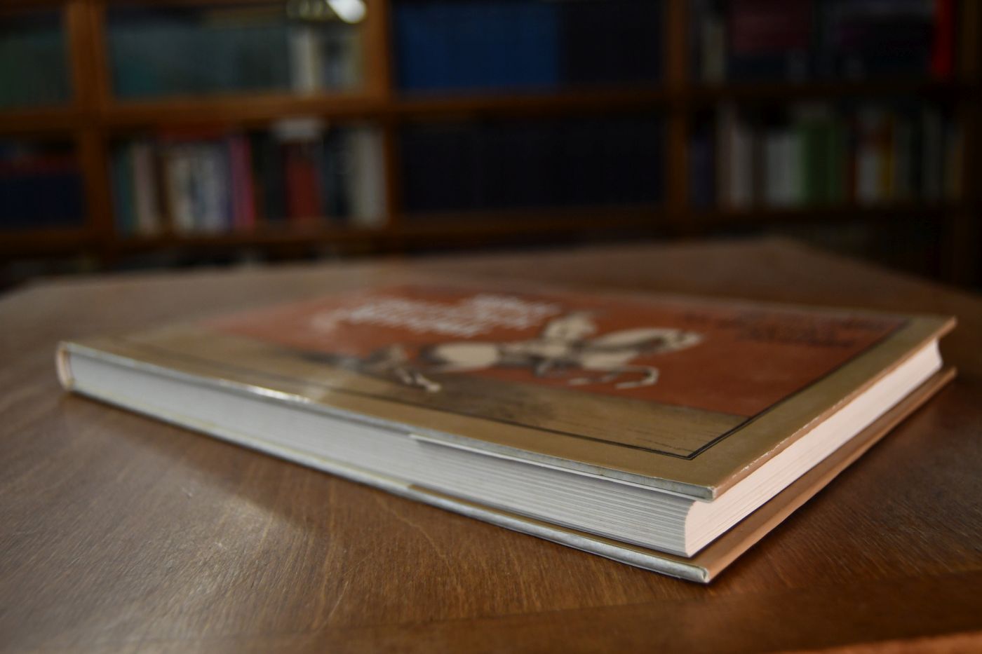 Des Herrn Baron Eisenbergs Wohleingerichtete Reitschule oder Beschreibung der allerneusten Reitkunst in ihrer Vollkommenheit.