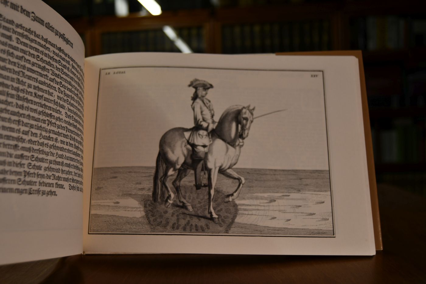 Des Herrn Baron Eisenbergs Wohleingerichtete Reitschule oder Beschreibung der allerneusten Reitkunst in ihrer Vollkommenheit.