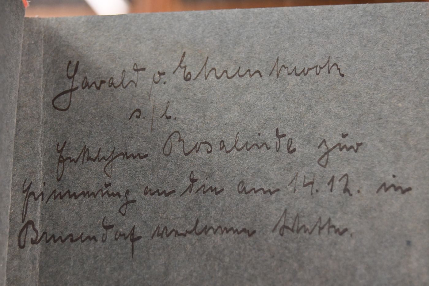 Altgold. Die Geschichte eines Kriegspferdes.