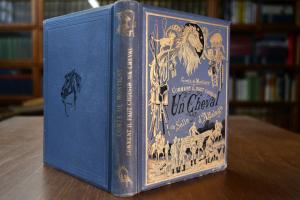 Comment il faut choisir Un Cheval. Connessances...