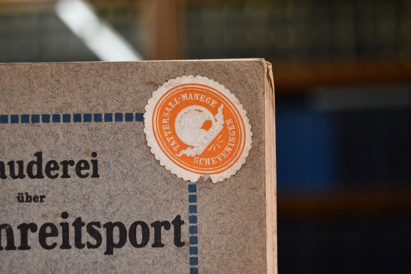 Plauderei über Damenreitsport.