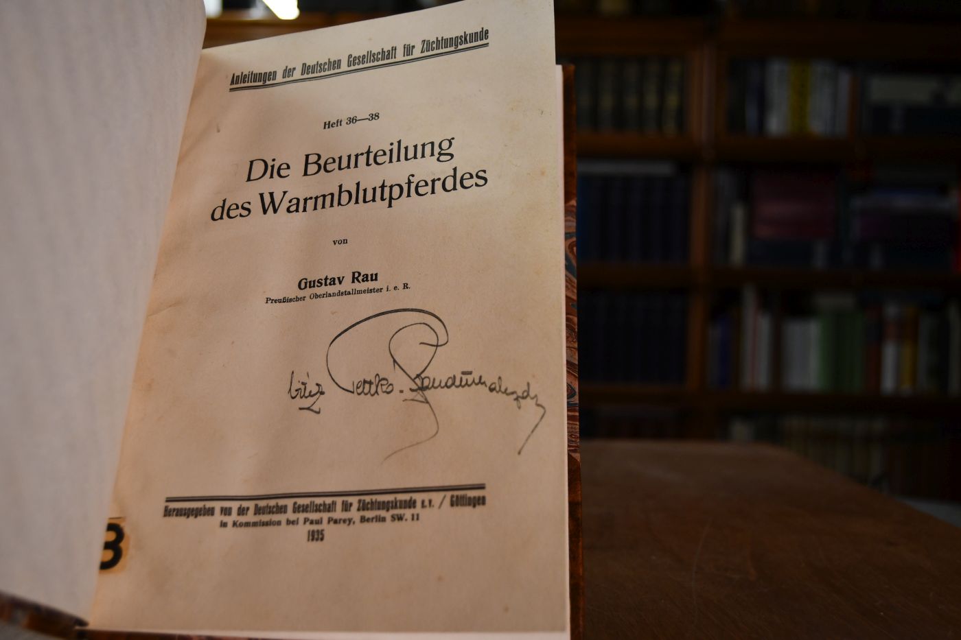 Die Beurteilung des Warmblutpferdes.
