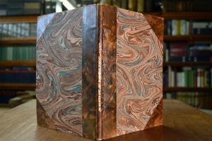 Die Beurteilung des Warmblutpferdes.