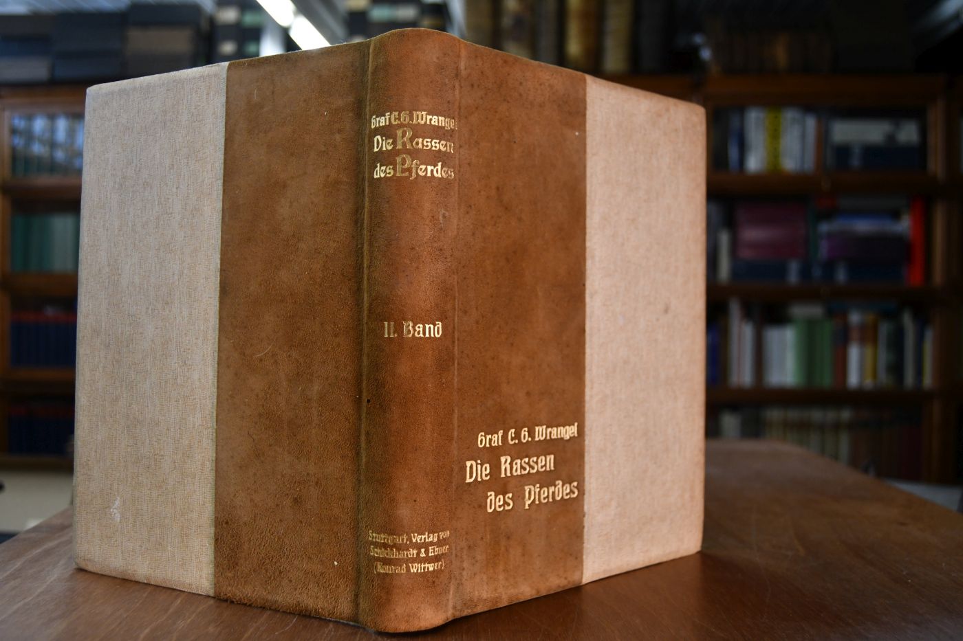 Die Rassen des Pferdes. Ihre Entstehung, geschichtliche Entwicklung und charakteristischen Kennzeichen. Bd. 2 (apart).
