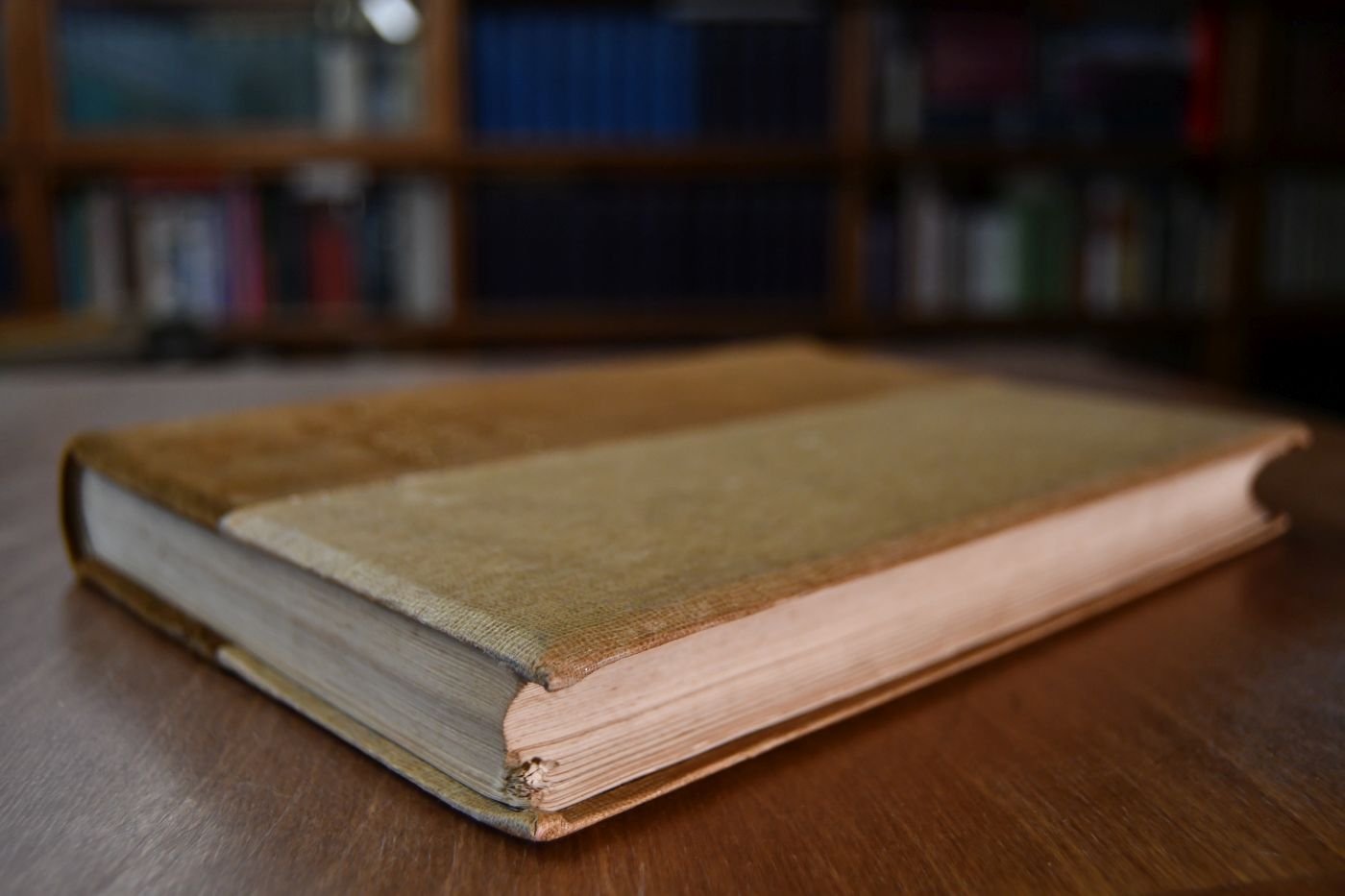 Die Rassen des Pferdes. Ihre Entstehung, geschichtliche Entwicklung und charakteristischen Kennzeichen. Bd. 2 (apart).
