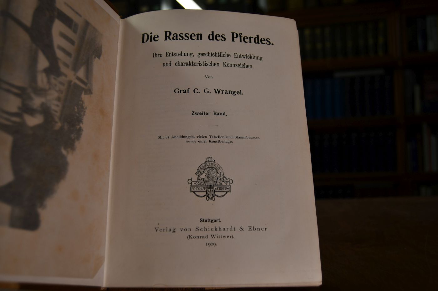 Die Rassen des Pferdes. Ihre Entstehung, geschichtliche Entwicklung und charakteristischen Kennzeichen. Bd. 2 (apart).