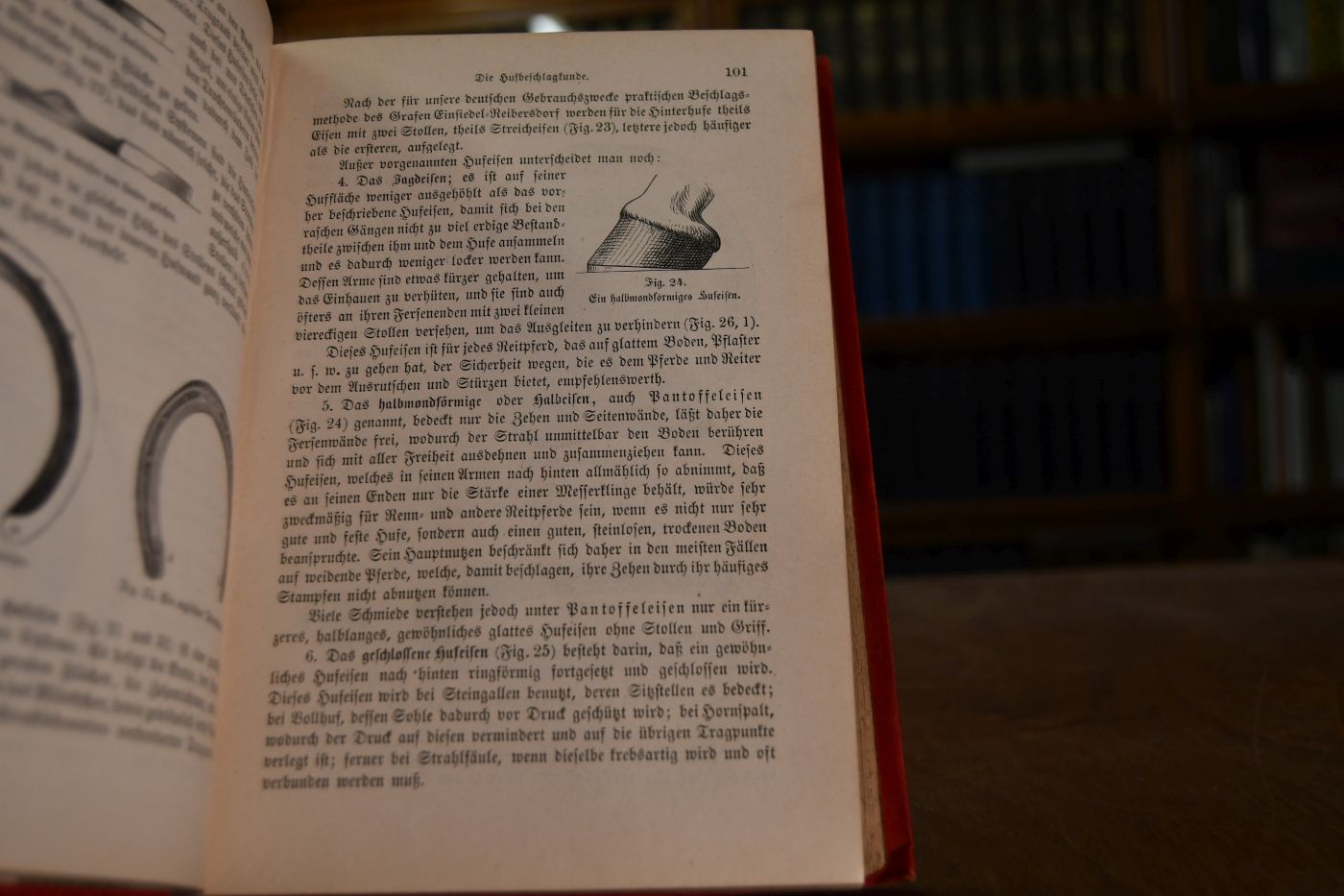 Pferd und Reiter oder die Reitkunst in ihrem ganzen Umfange. Nach rationeller, allein auf die Natur des Menschen, sowie des Pferdes gegründeter, rasch und sicher zum Ziele führender Methode. Theoretisch und praktisch erläutert.