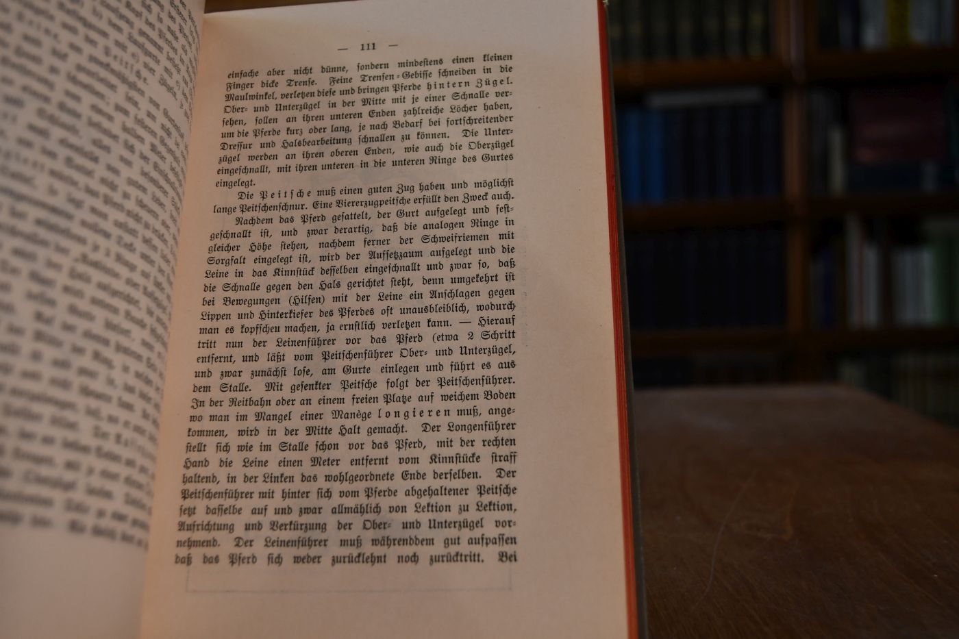 Hippologisches Alphabet. Handbuch für berittene Offiziere wie auch Pferdebesitzer jeden Ranges und Standes zur Orientierung im Umgang mit Pferden nebst Anleitung über deren Pflege.